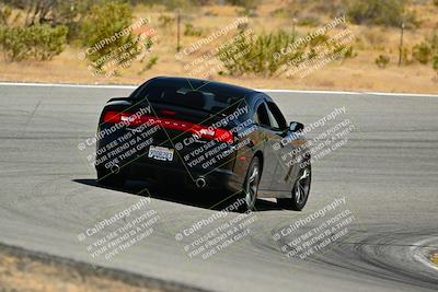 media/Jun-01-2025-VIP Trackdays (Sun) [[b20349723e]]/C Group/Session 2 (Turns 7 and 8)/